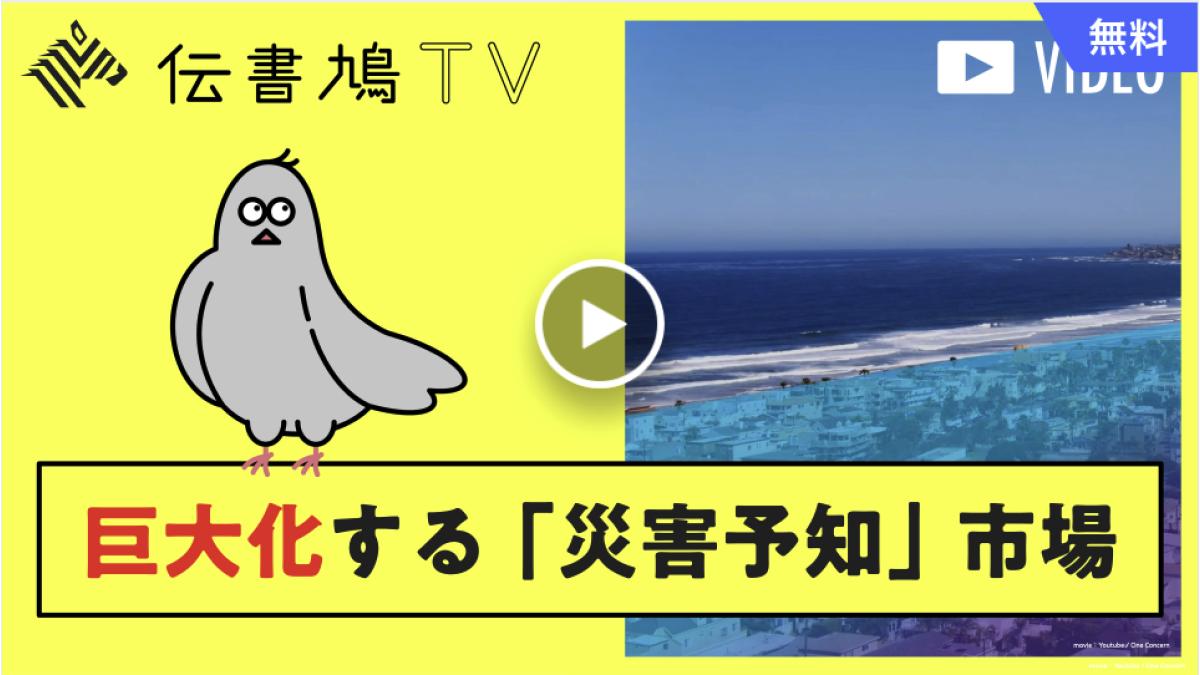 NewsPicks 伝書鳩TV